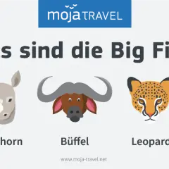 Die Big Five der Safari: Löwe, Nashorn, Büffel, Leopard und Elefant.