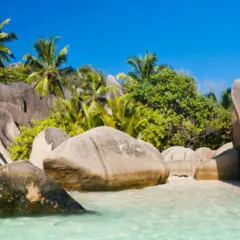 Traumhafte Seychellen-Strände mit Granitfelsen und Palmen. Vorsicht vor Mücken, die das Zika-Virus übertragen können.