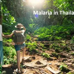 Wanderer auf einem Dschungelpfad in Thailand, wo Malaria eine Gefahr darstellt.