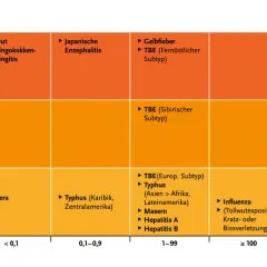 Risikobewertung für Reisende: Japanische Enzephalitis auf Bali hat eine hohe Letalität. Die Grafik zeigt Krankheiten nach Schweregrad und Inzidenz.