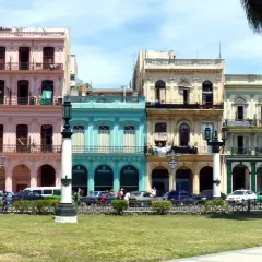 Bunte Kolonialhäuser in Havanna, Kuba, mit Palmen und Autos davor.