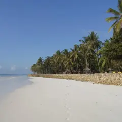 Traumhafter Strand in Kenia mit Palmen und türkisfarbenem Meer. Hier ist Kenia sicher und lädt zum Entspannen ein.