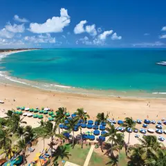 Traumhafter Strand von Porto de Galinhas mit türkisfarbenem Wasser, Palmen und vielen bunten Sonnenschirmen.