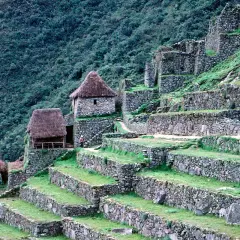 Terrassen und Steinhäuser der Machu Picchu Rekonstruktion, eingebettet in einen grünen Berghang.