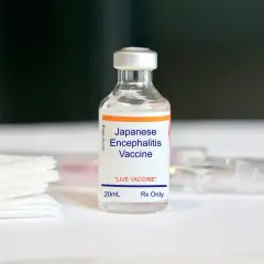 Eine Durchstechflasche mit "Japanese Encephalitis Vaccine" für Reisen nach Thailand.