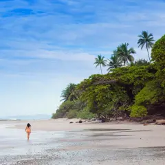 Eine Frau spaziert am Strand von Santa Teresa entlang, umgeben von üppiger Vegetation und Palmen unter blauem Himmel.