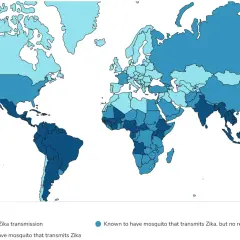 Weltkarte zeigt Zika-Virus-Übertragung. Sri Lanka ist dunkelblau gefärbt, was auf aktuelle oder vergangene Übertragung hinweist.