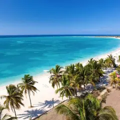 Traumhaftes Kuba im April: Türkisblaues Meer, weißer Sandstrand und Palmen unter strahlend blauem Himmel. Perfektes Wetter für einen Urlaub.