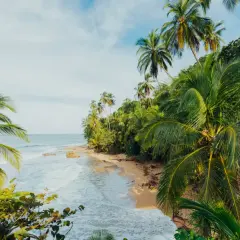 Traumhafte Küste in Costa Rica im April. Palmen säumen einen einsamen Sandstrand, das türkisfarbene Meer rauscht sanft.