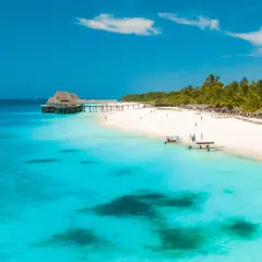 Traumhafter Strand auf Sansibar mit türkisfarbenem Wasser, Palmen und einem Steg.
