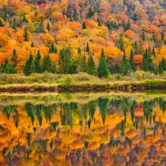 Herbstfarben spiegeln sich in einem ruhigen See. Wann ist Indian Summer in Kanada? Oft im September und Oktober.