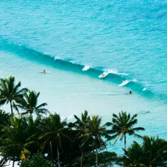 Surfer auf türkisfarbenen Wellen vor einer üppigen Palmenküste. Perfekt für die costa rica beste reisezeit zum Surfen.