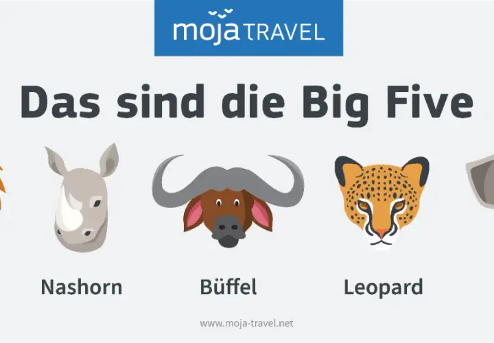 Die Big Five der Safari: Löwe, Nashorn, Büffel, Leopard und Elefant.