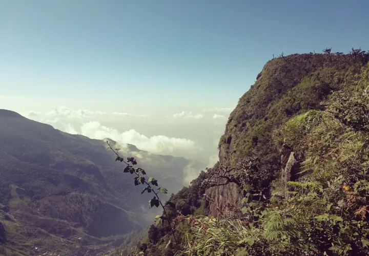 Grüner berg Sri Lanka mit steiler Klippe und Wolkenmeer in der Ferne.