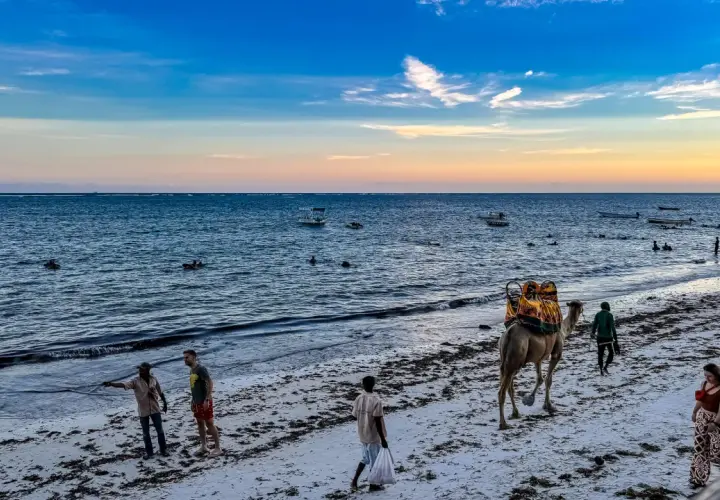 Kenia: Kamelritt am Strand, Menschen baden im Meer. Die beste Reisezeit für Safari und Baden ist jetzt!