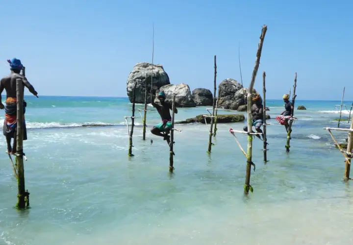 Stelzenfischer Sri Lanka: Männer sitzen auf Stelzen im Meer und angeln. Die Sonne scheint auf das türkisfarbene Wasser.