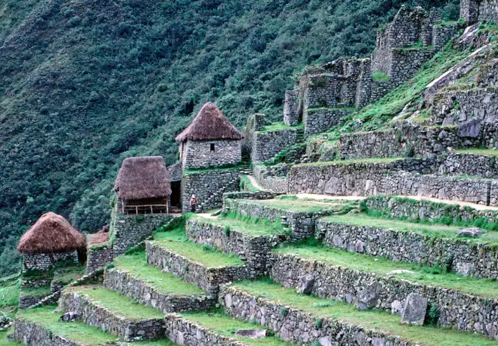 Terrassen und Steinhäuser der Machu Picchu Rekonstruktion, eingebettet in einen grünen Berghang.