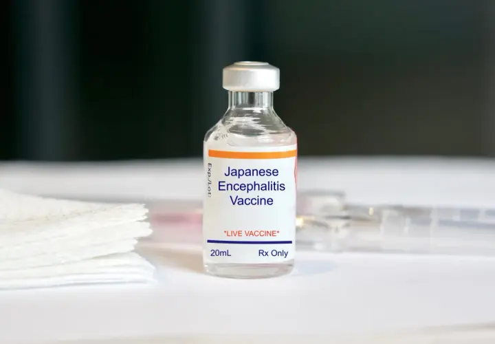 Eine Durchstechflasche mit "Japanese Encephalitis Vaccine" für Reisen nach Thailand.