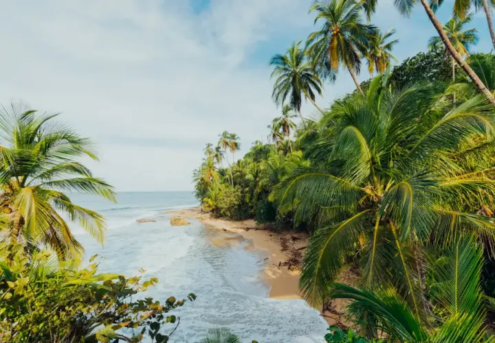 Traumhafte Küste in Costa Rica im April. Palmen säumen einen einsamen Sandstrand, das türkisfarbene Meer rauscht sanft.