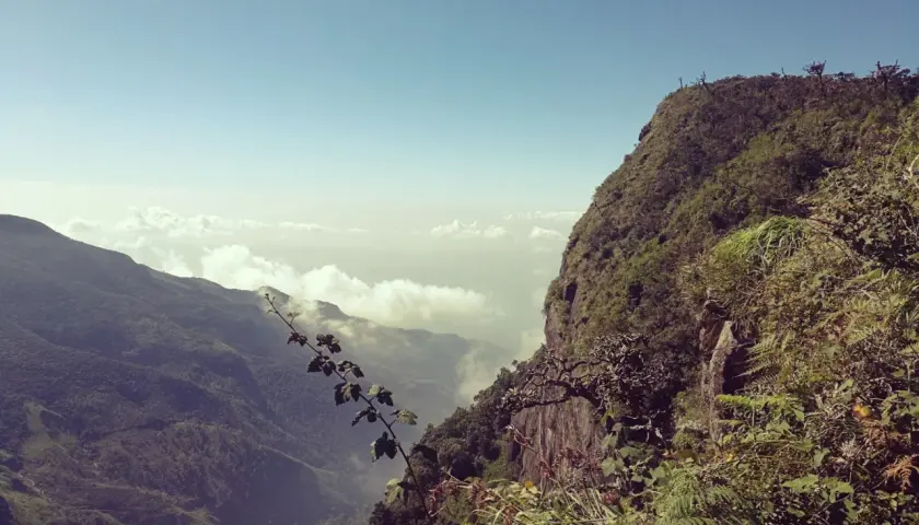 Grüner berg Sri Lanka mit steiler Klippe und Wolkenmeer in der Ferne.