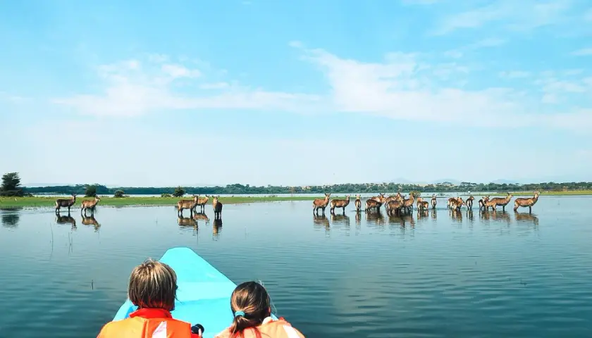 Zwei Kinder in Schwimmwesten blicken auf eine Herde Antilopen im Wasser. Das Wetter in Kenia im September ist perfekt für diese Bootsfahrt.