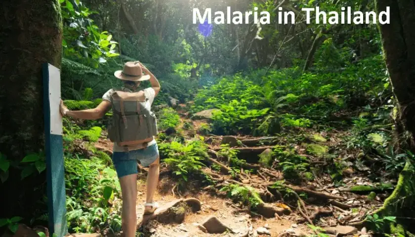 Wanderer auf einem Dschungelpfad in Thailand, wo Malaria eine Gefahr darstellt.