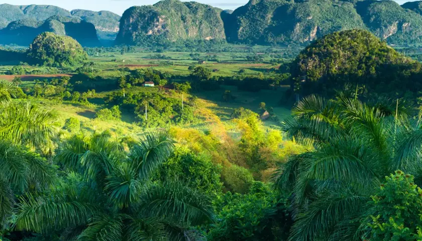 Grüne Hügel und Palmen im Tal von Viñales, Kuba. Ein kleines Haus in der Ferne.