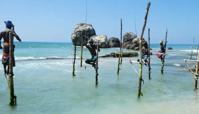Stelzenfischer Sri Lanka: Männer sitzen auf Stelzen im Meer und angeln. Die Sonne scheint auf das türkisfarbene Wasser.
