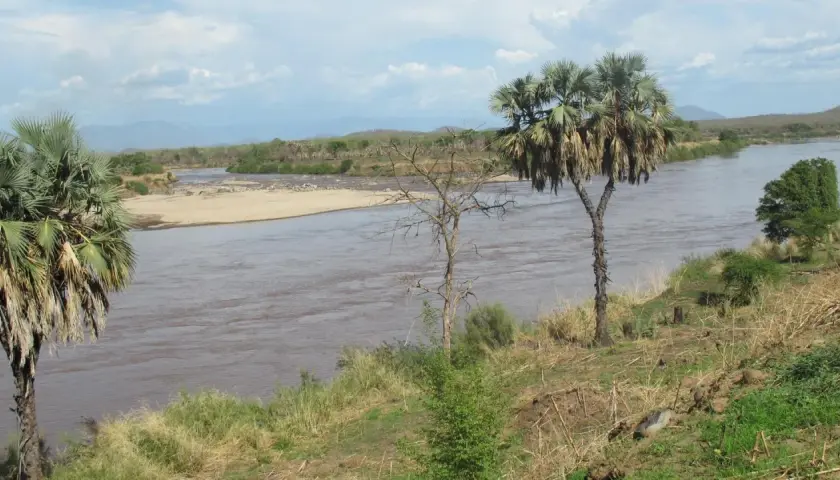 Ein breiter, schlammiger Fluss schlängelt sich durch eine trockene Landschaft mit Palmen und Büschen. Man fragt sich, wie lang ist der Nil, wenn er so majestätisch fließt.