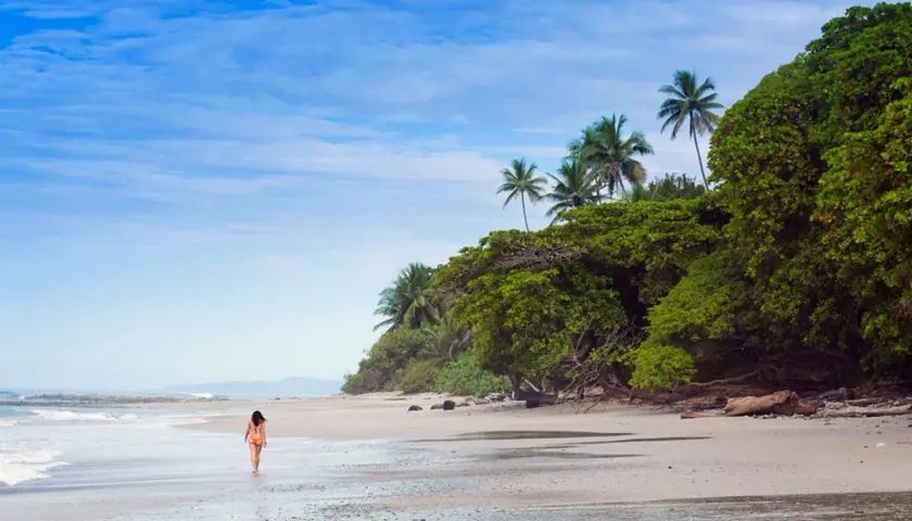 Eine Frau spaziert am Strand von Santa Teresa entlang, umgeben von üppiger Vegetation und Palmen unter blauem Himmel.
