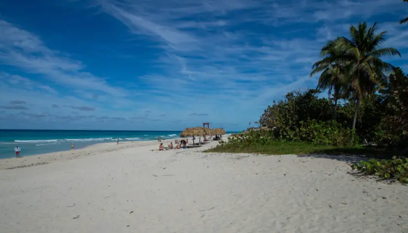 Traumhafter Strand in Kuba Varadero mit Palmen, Sonnenschirmen und dem türkisfarbenen Meer unter blauem Himmel.