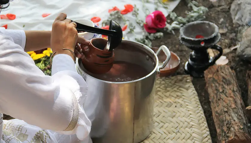 Vorbereitung von Ayahuasca: Eine Person schöpft mit einer Kelle eine braune Flüssigkeit in einen Tonkrug. Blumen und Holz liegen daneben.