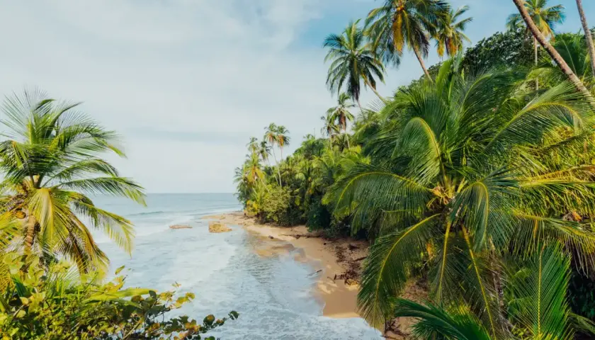 Traumhafte Küste in Costa Rica im April. Palmen säumen einen einsamen Sandstrand, das türkisfarbene Meer rauscht sanft.