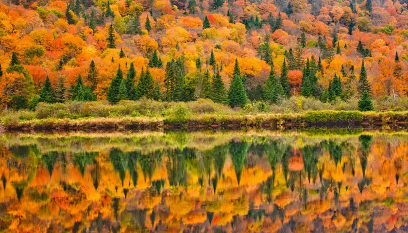 Herbstfarben spiegeln sich in einem ruhigen See. Wann ist Indian Summer in Kanada? Oft im September und Oktober.