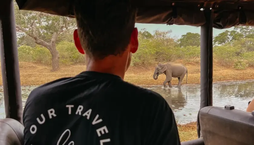 Ein Elefant trinkt im Yala Nationalpark Sri Lanka, während ein Safari-Besucher zusieht.