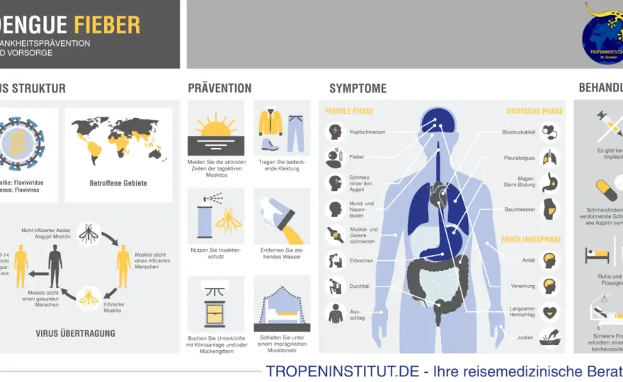 Dengue-Fieber in Australien - Risiko & Schutz für Reisende