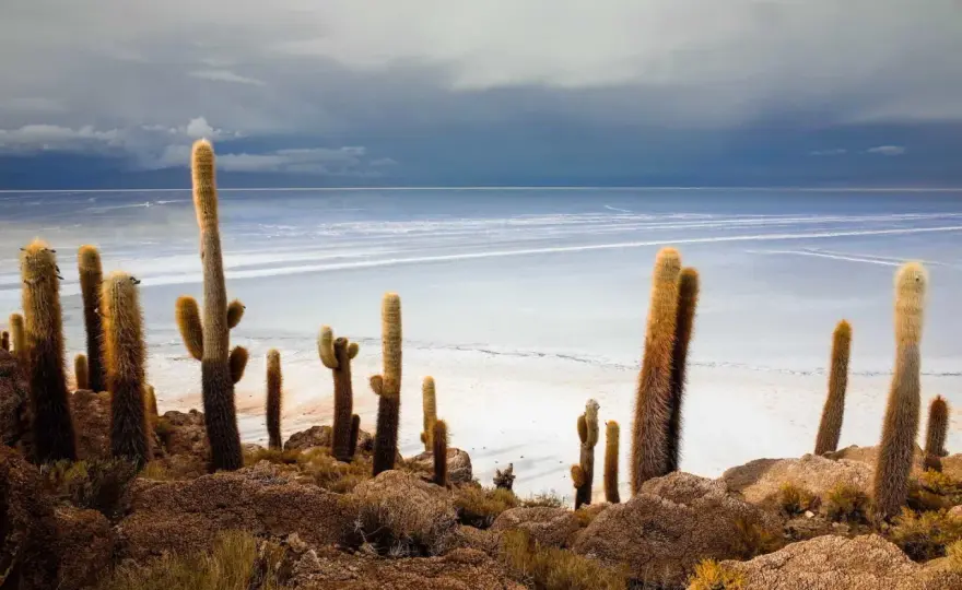 Boliviens Natur: Mehr als nur Salar de Uyuni – Dein Guide