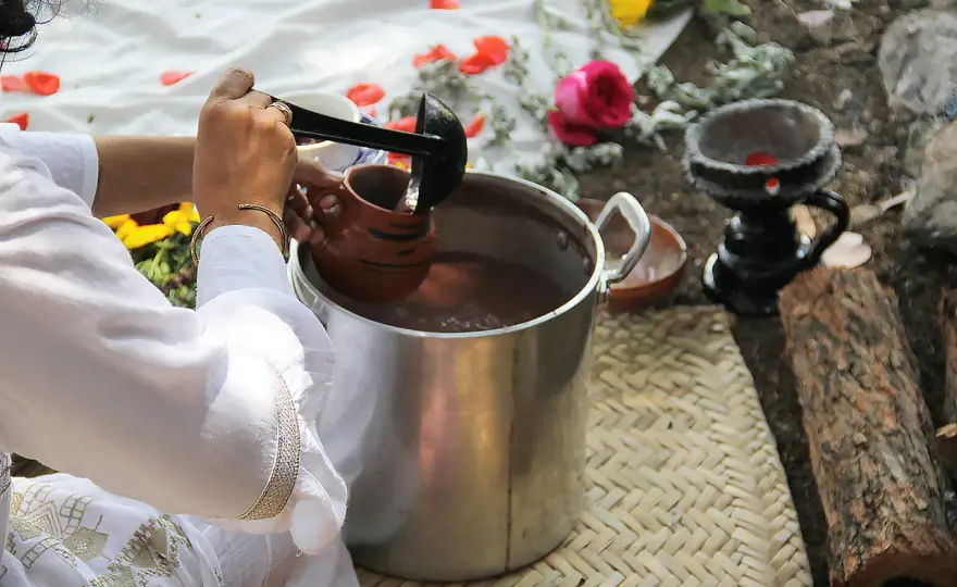 Ayahuasca - Wirkung, Risiken & Recht: Was Sie wissen müssen