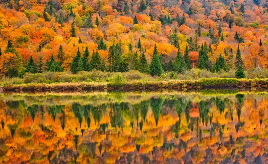 Indian Summer Kanada - Wann ist die beste Reisezeit?