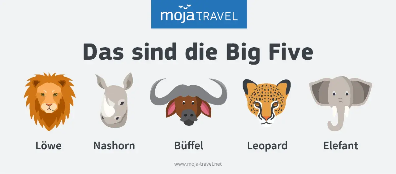 Die Big Five der Safari: Löwe, Nashorn, Büffel, Leopard und Elefant.