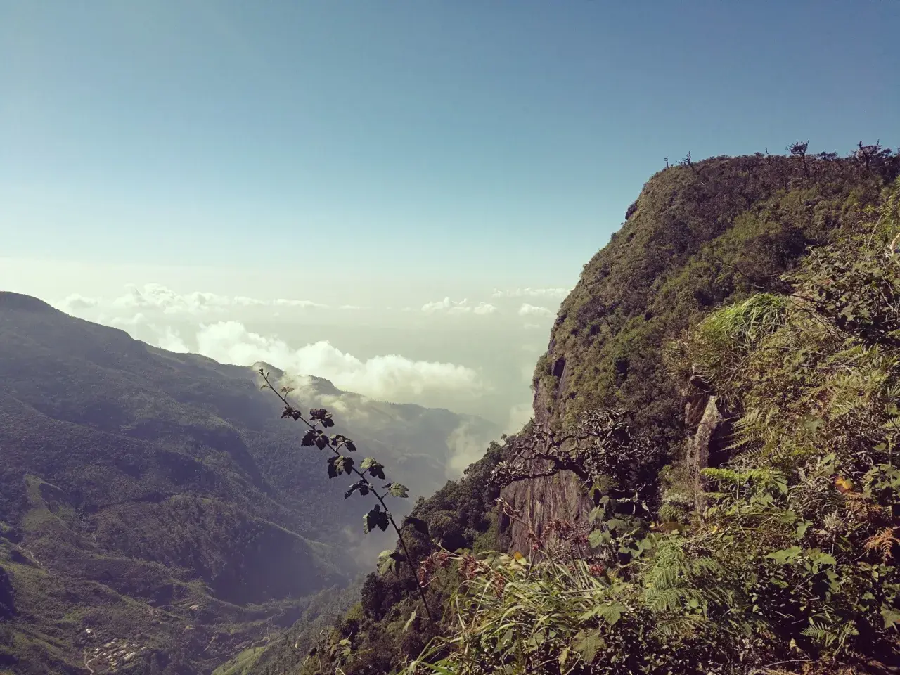Grüner berg Sri Lanka mit steiler Klippe und Wolkenmeer in der Ferne.