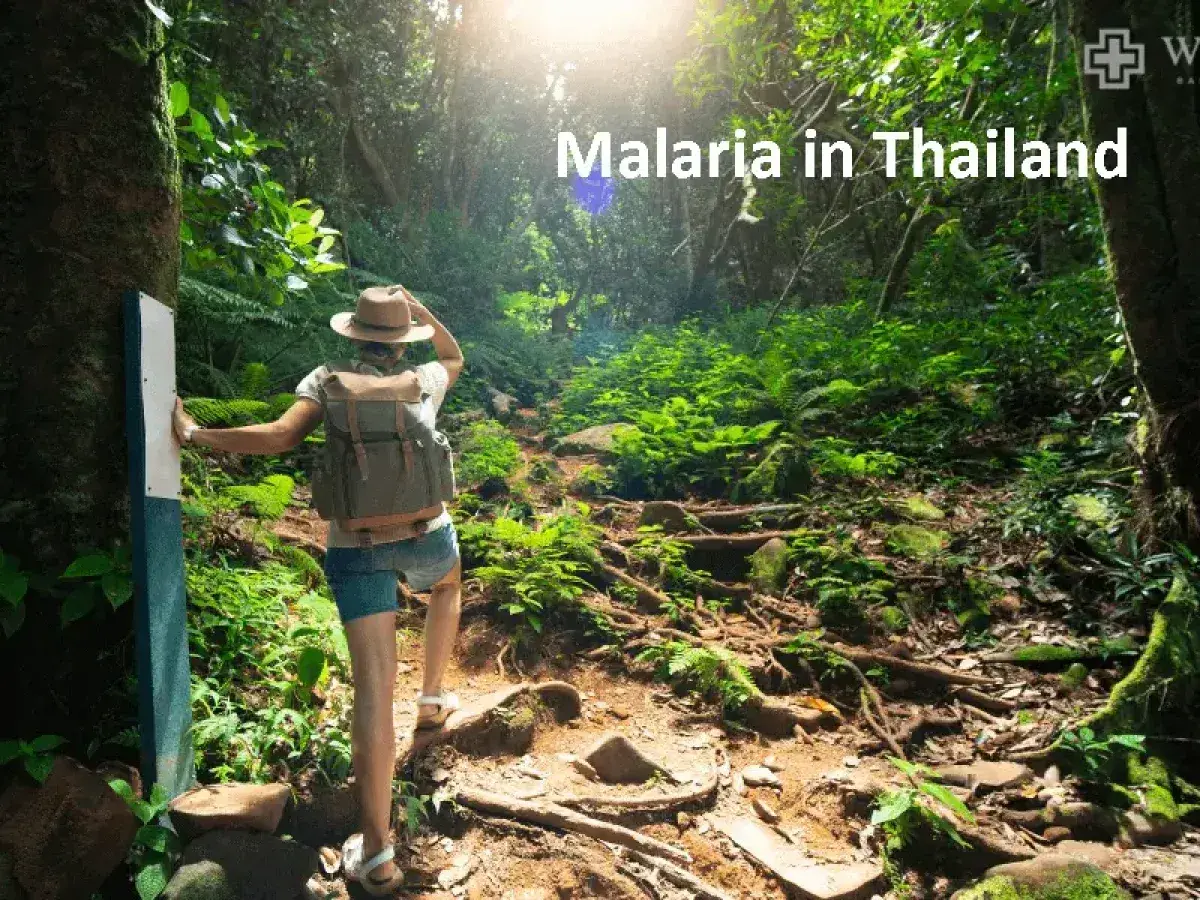 Wanderer auf einem Dschungelpfad in Thailand, wo Malaria eine Gefahr darstellt.