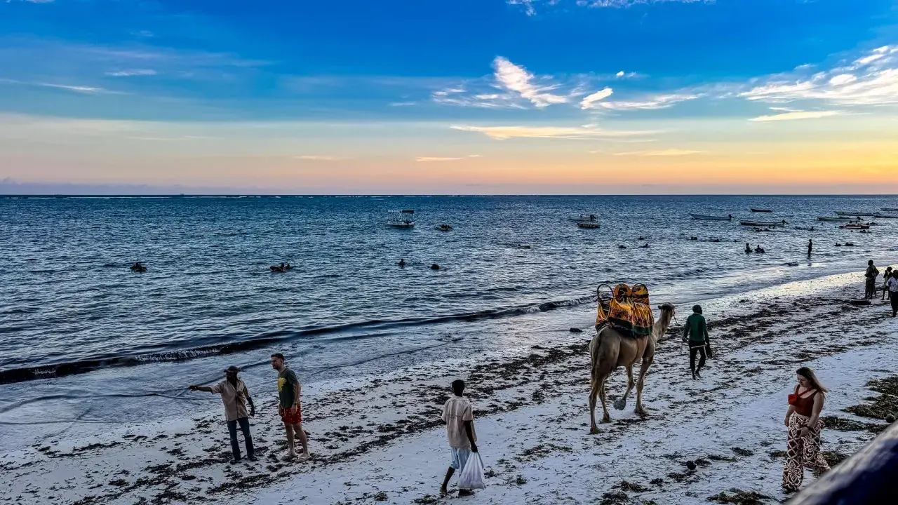 Kenia: Kamelritt am Strand, Menschen baden im Meer. Die beste Reisezeit für Safari und Baden ist jetzt!
