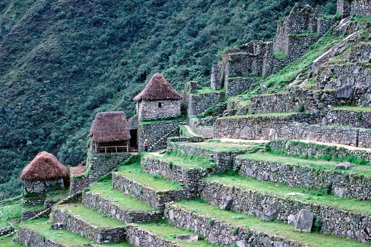 Terrassen und Steinhäuser der Machu Picchu Rekonstruktion, eingebettet in einen grünen Berghang.
