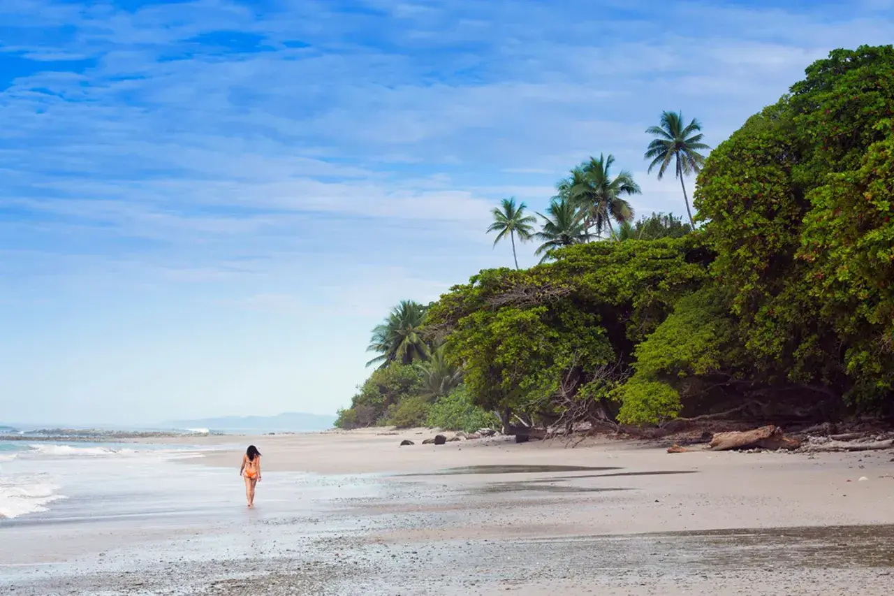 Eine Frau spaziert am Strand von Santa Teresa entlang, umgeben von üppiger Vegetation und Palmen unter blauem Himmel.