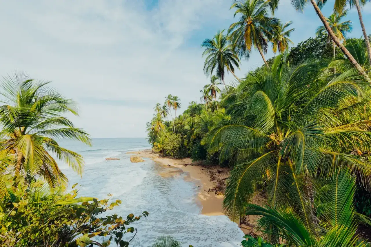 Traumhafte Küste in Costa Rica im April. Palmen säumen einen einsamen Sandstrand, das türkisfarbene Meer rauscht sanft.