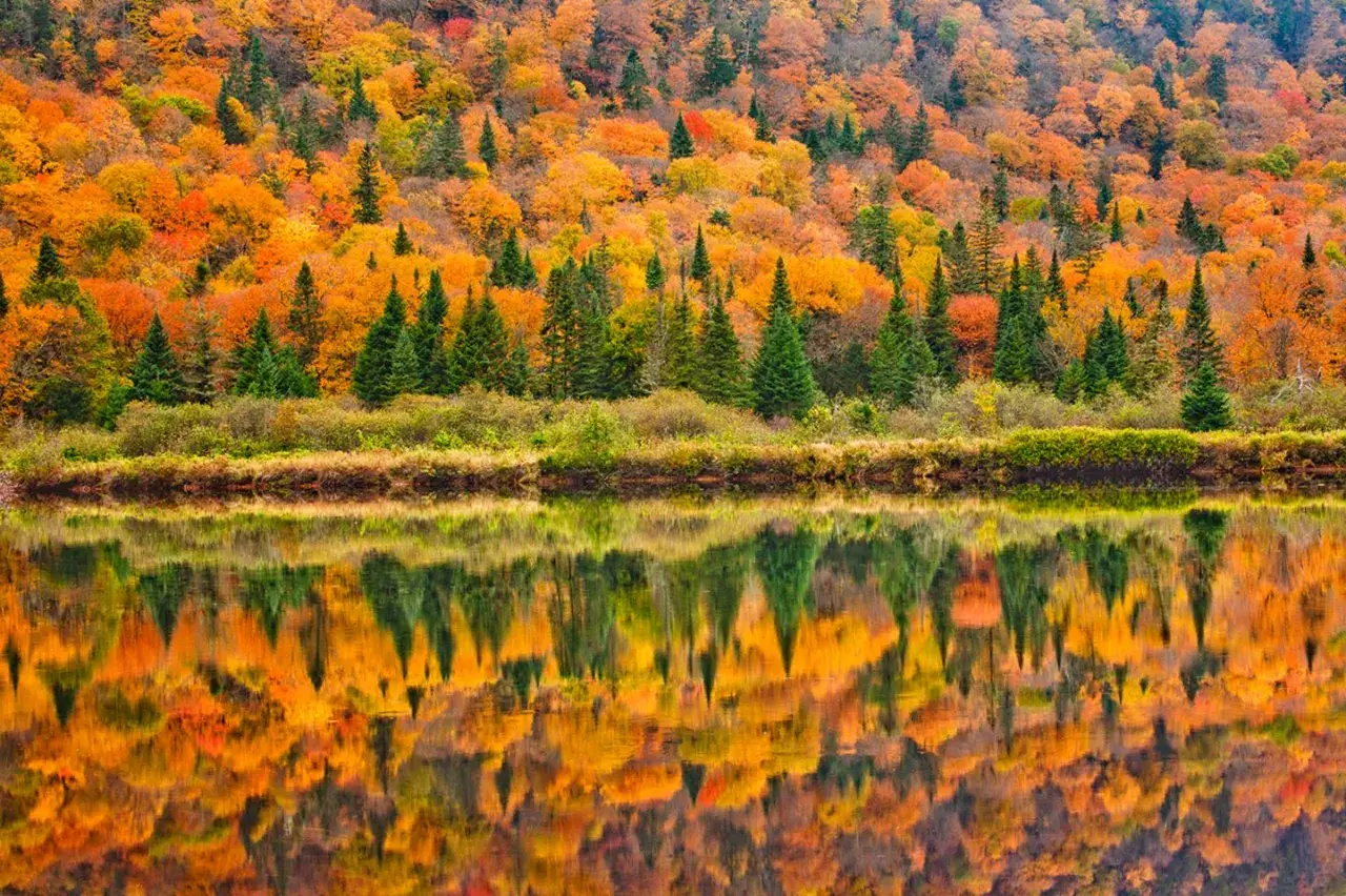 Herbstfarben spiegeln sich in einem ruhigen See. Wann ist Indian Summer in Kanada? Oft im September und Oktober.