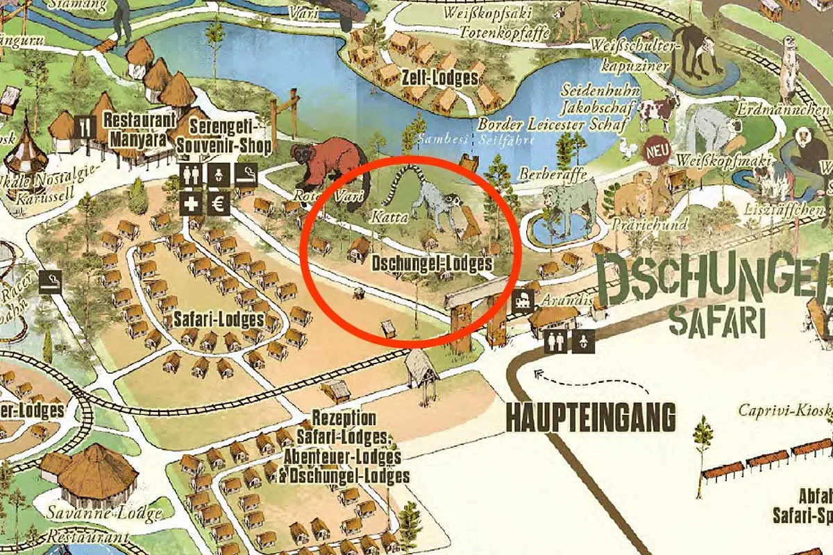 Wo ist die Serengeti? Hier im Dschungel Safari Park, nahe den Oschungel-Lodges, leben rote Varis und Kattas.