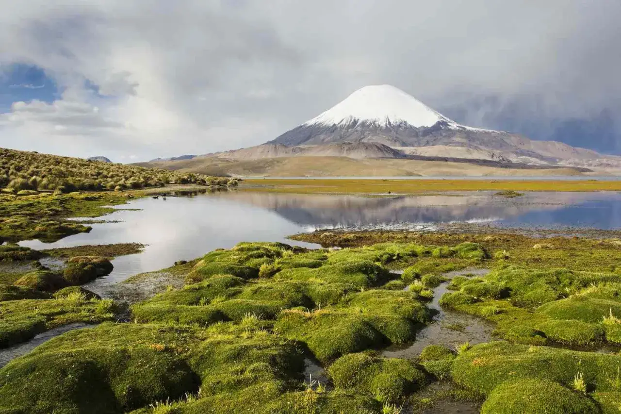 Schneebedeckter Vulkan über einem See mit üppiger Vegetation im Vordergrund. Atemberaubende chile natur.