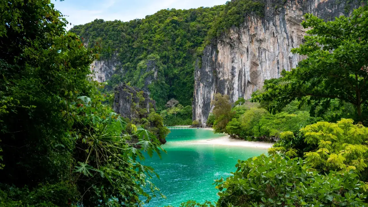 Grüne Dschungelvegetation umrahmt eine türkisfarbene Bucht mit Sandstrand und steilen Felswänden. Die Philippinen zeigen sich hier in der Regenzeit von ihrer üppigen Seite.